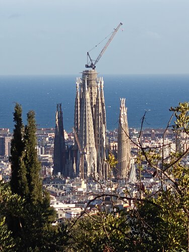 IMG20250117162542