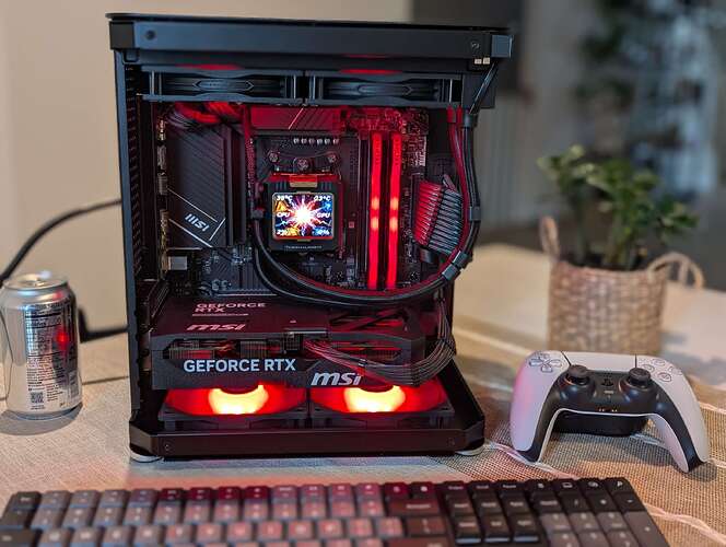 PXL_20250406_194620194.PORTRAIT